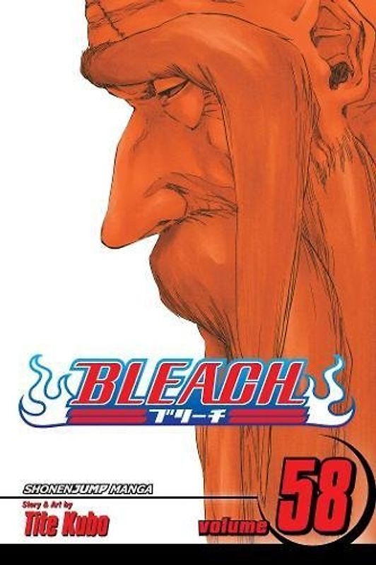 Bleach Volume 58: The Fire