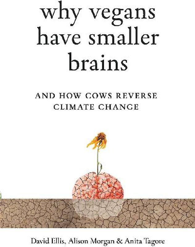 Why Vegans Have Smaller Brains