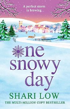 One Snowy Day