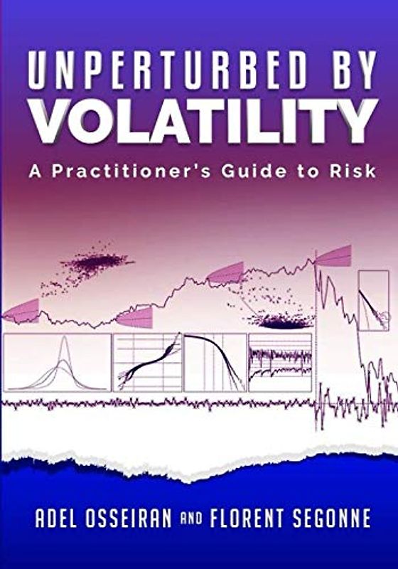 Unperturbed By Volatility: A Practitioner's Guide To Risk