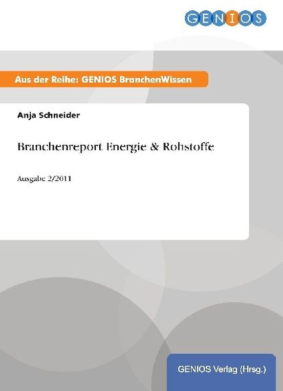 Branchenreport Energie & Rohstoffe