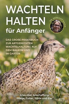 Wachteln halten für Anfänger