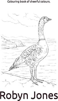 Colouring book of cheerful colours.