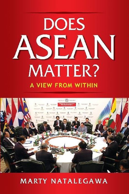 Does ASEAN Matter?