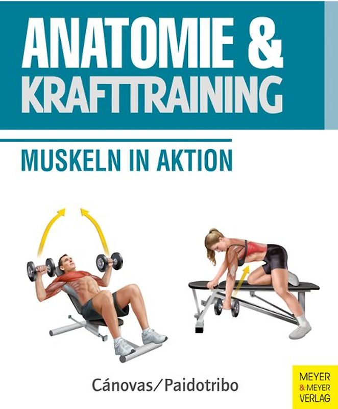 Anatomie und Krafttraining (Anatomie & Sport, Band 1)