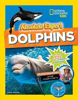 Absolute Expert: Dolphins