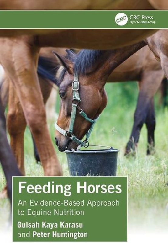 Feeding Horses