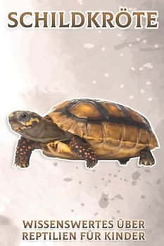 Schildkröte: Wissenswertes über Reptilien für Kinder #3
