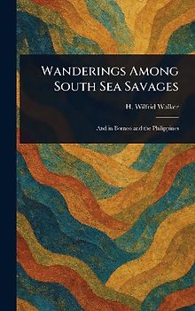 Wanderings Among South Sea Savages