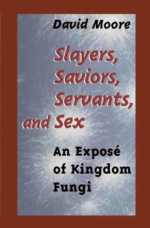 Slayers, Saviors, Servants and Sex