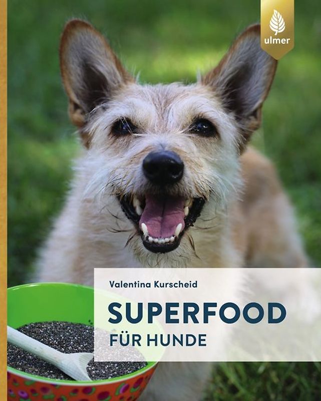 Superfood für Hunde