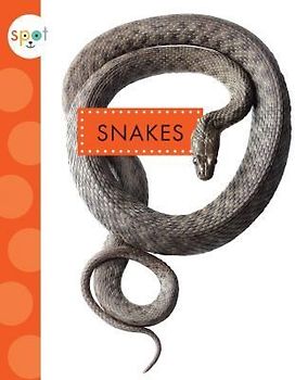 Snakes