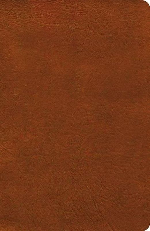 NASB Verse-By-Verse Reference Bible, Burnt Sienna Leathertouch