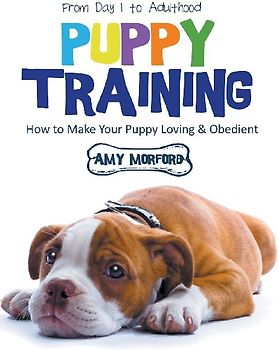 Puppy Training