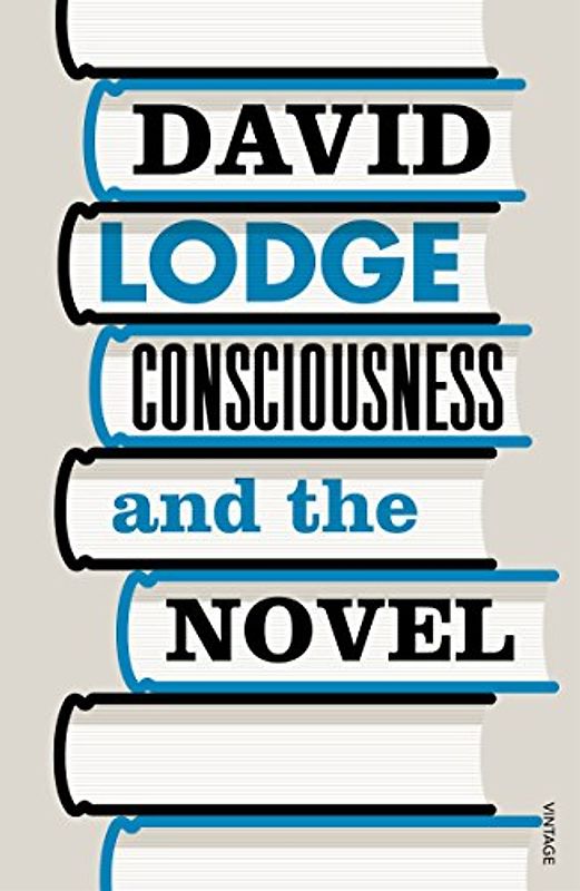 Consciousness And The Novel