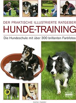 Hunde-Training