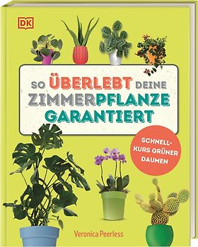 So überlebt deine Zimmerpflanze garantiert