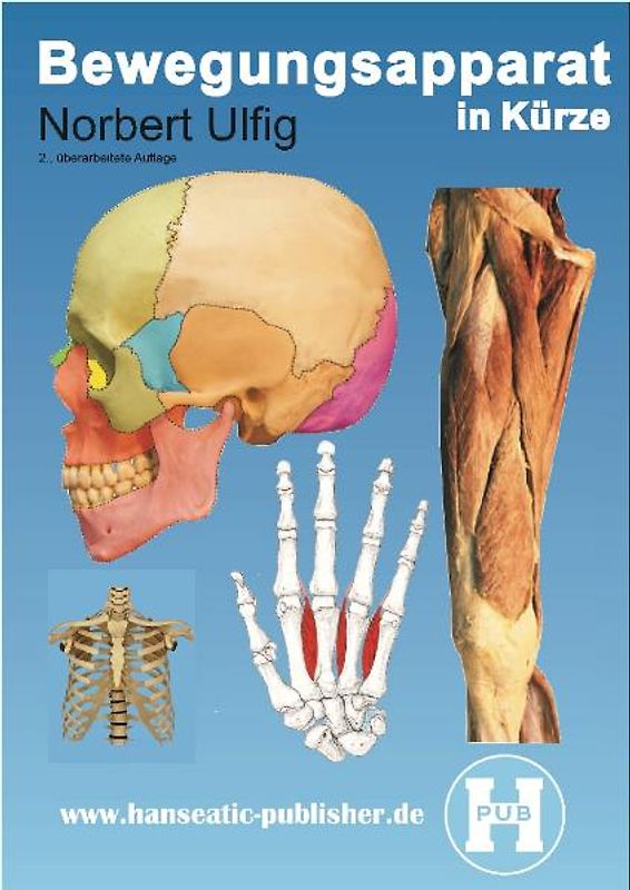Bewegungsapparat in Kürze
