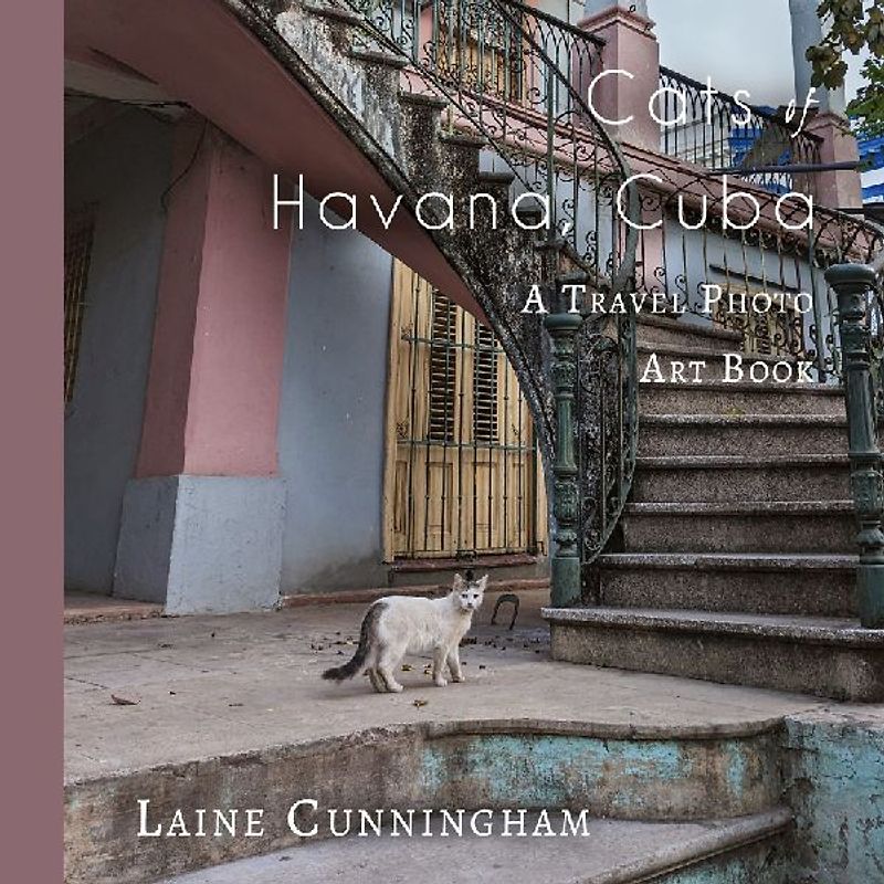 Cats of Havana, Cuba