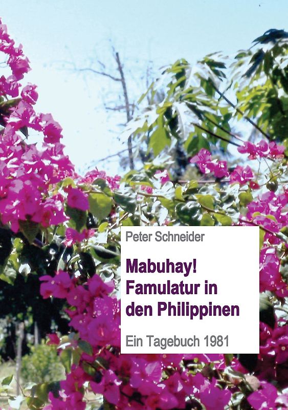 Mabuhay! Famulatur in den Philippinen