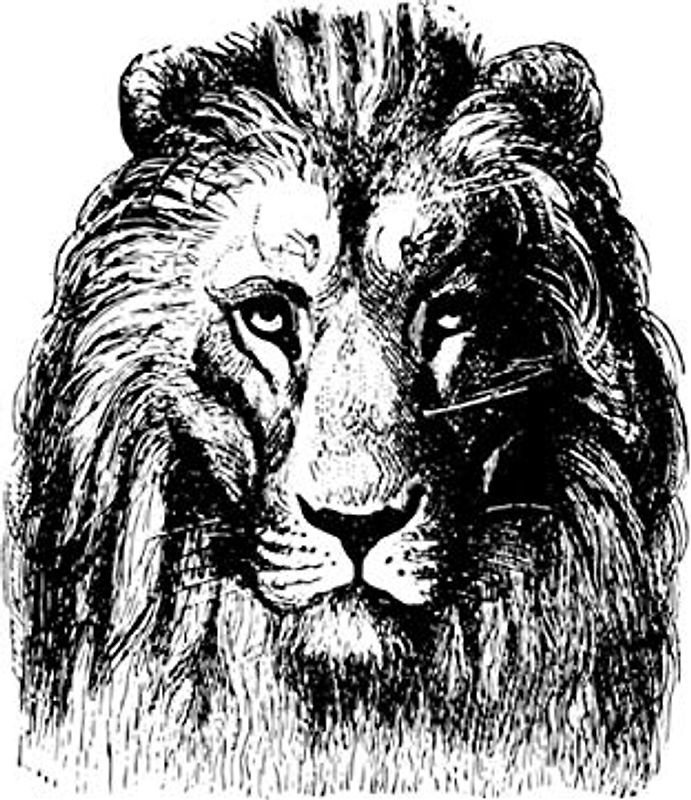 e.x.o.b.o | Notizbücher: Umfangreiches und exotisches Blanko-Journal mit einzigartiger Vintage-Handzeichnung (Löwe)