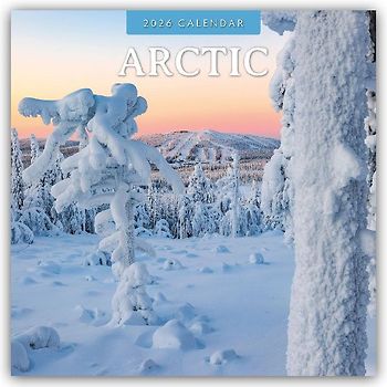 Arctic 2026 Square Wall Calendar