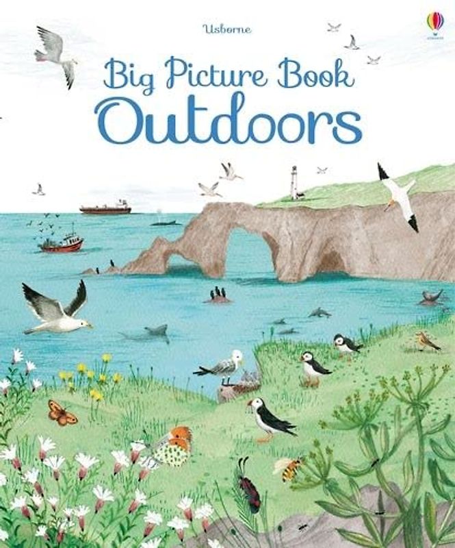 Big Picture Book Outdoors (Big Picture Books)