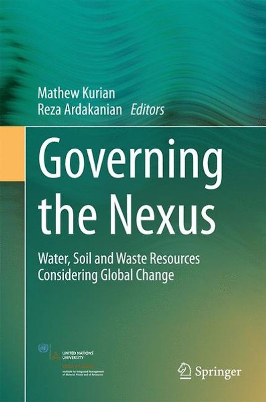 Governing the Nexus