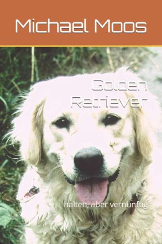 Golden Retriever: halten, aber vernünftig