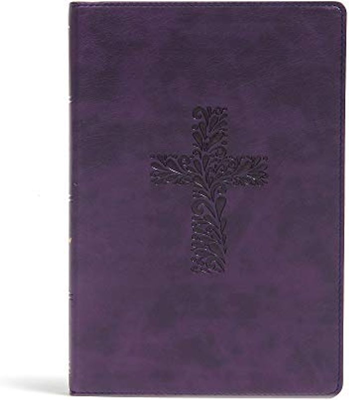 KJV Rainbow Study Bible, Purple Leathertouch