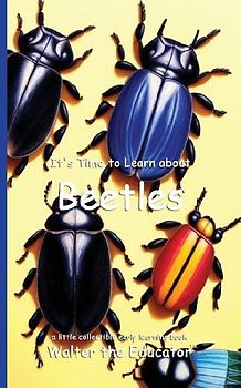 It's Time to Learn about Beetles