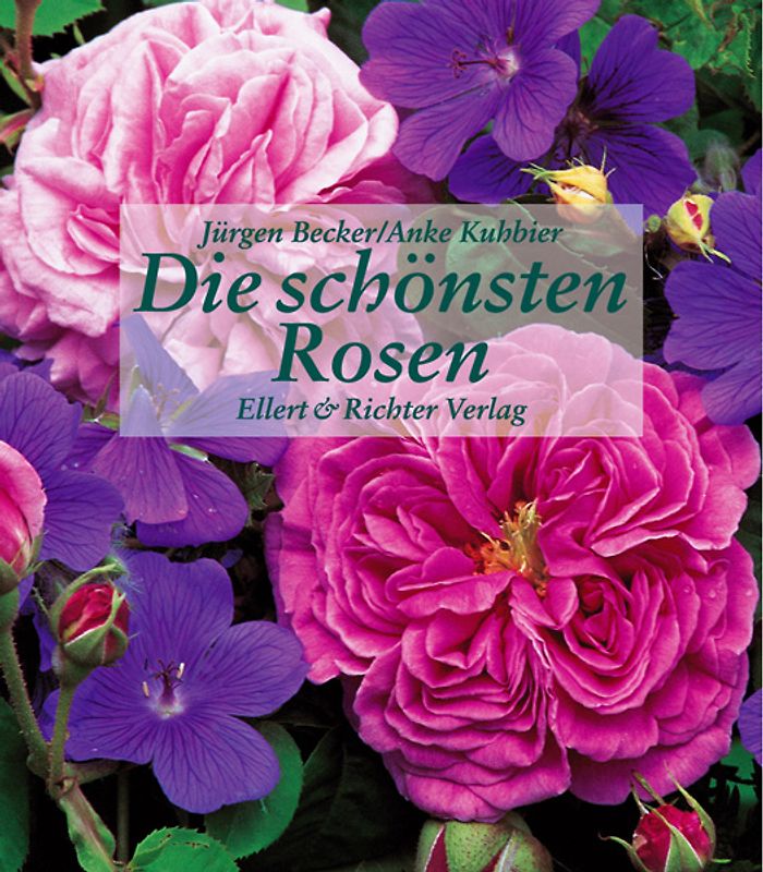 Die schönsten Rosen
