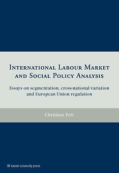 International labour market and social policy analysis