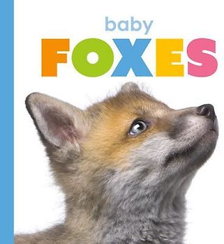 Baby Foxes