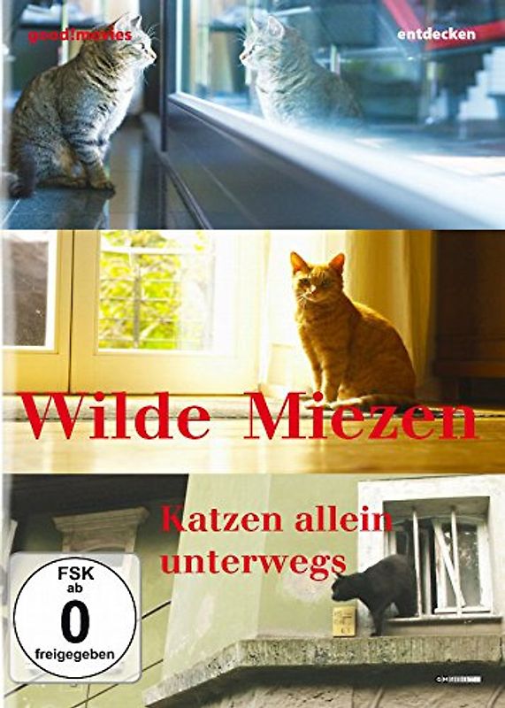 Wilde Miezen - Katzen allein unterwegs DVD