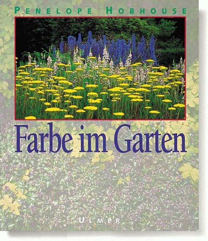 Farbe im Garten