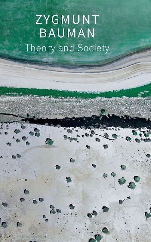 Theory and Society