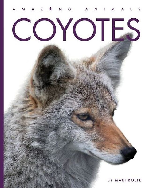Coyotes