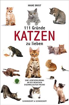 111 Gründe, Katzen zu lieben