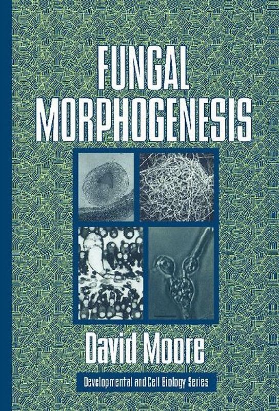 Fungal Morphogenesis