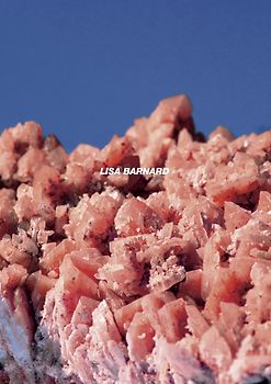 After Nature | Ulrike Crespo Photography Prize 2025