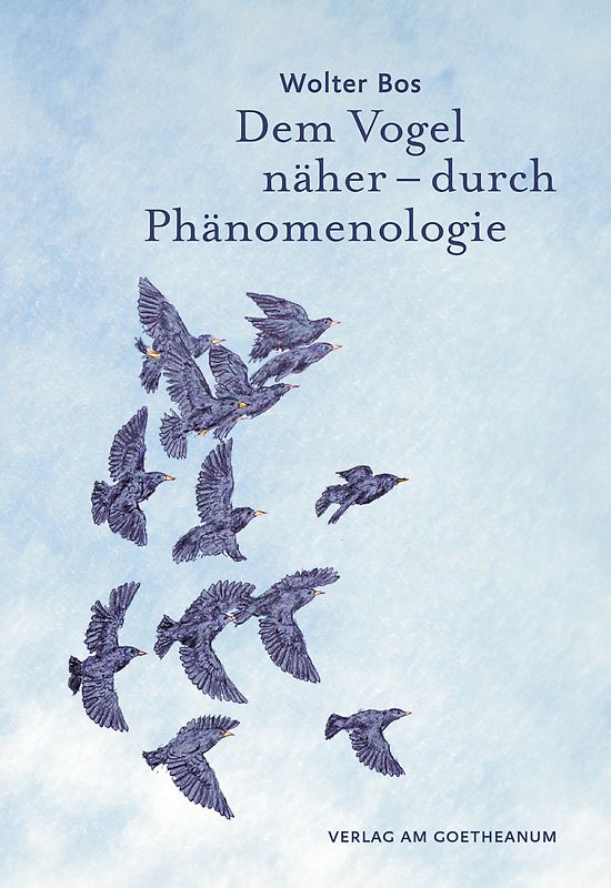 Dem Vogel näher – durch Phänomenologie