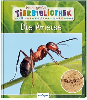 Meine große Tierbibliothek: Die Ameise