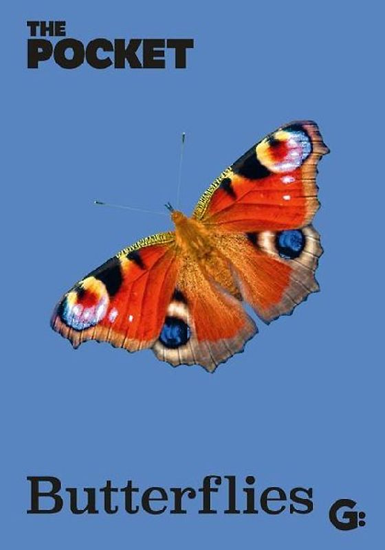 The Pocket Butterflies