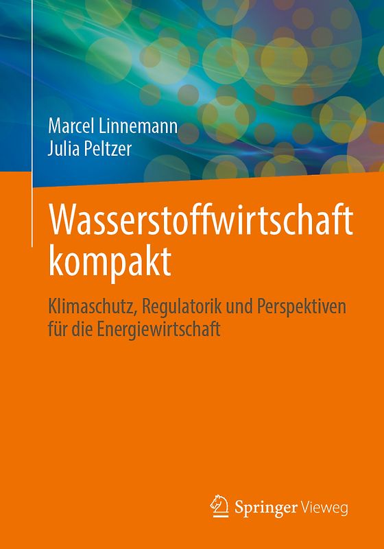 Wasserstoffwirtschaft kompakt