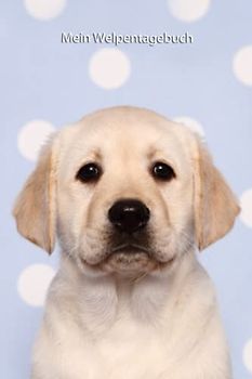 Mein Welpentagebuch: die ersten Monate mit meinem Labrador (Labrador Retriever in blond - Trainingstagebuch, Krankenakte, BARF Planer und Welpentagebuch)