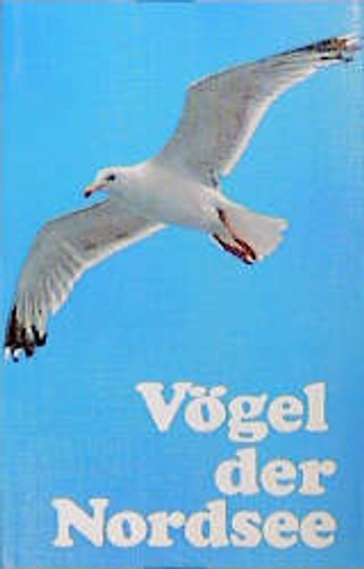 Vögel der Nordsee