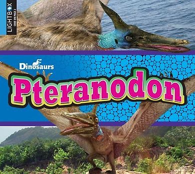 Pteranodon