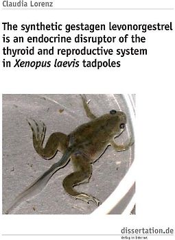 The synthetic gestagen levonorgestrel is an endocrine disruptor of the thyroid and reproductive system in Xenopus laevis tadpoles