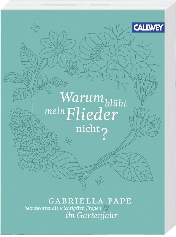 Warum blüht mein Flieder nicht?